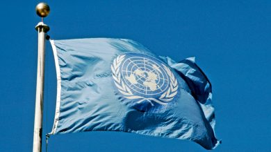 Flag of the UN