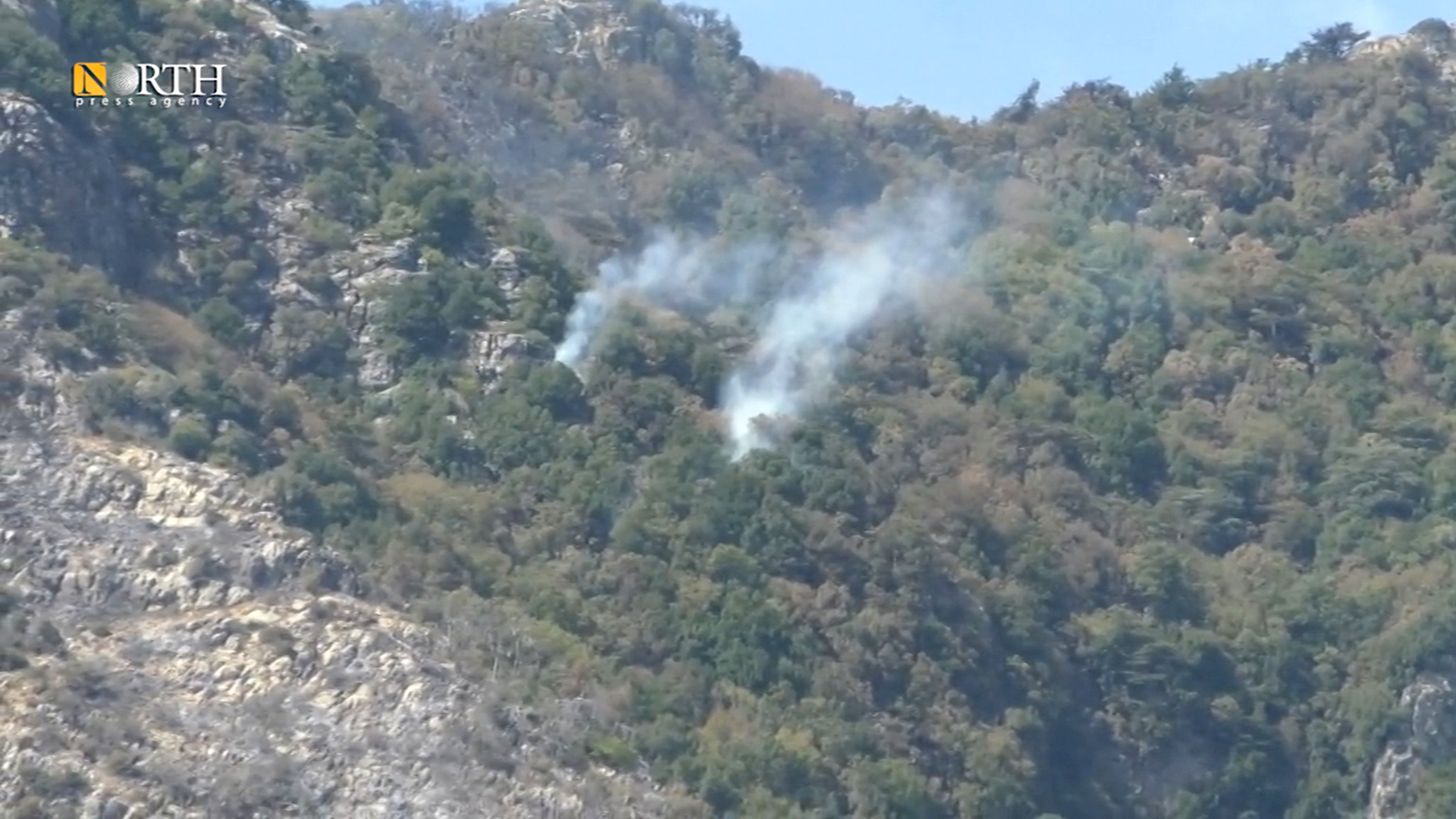 North Press took video footage in the countryside of #Latakia and #Idlib showing hundreds of acres from Latakia Mountains to Ghab Plain completely burnt. #Syria https://npasyria.com/en/?p=46705