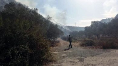 The fire of the town of As-Soda, Tartous