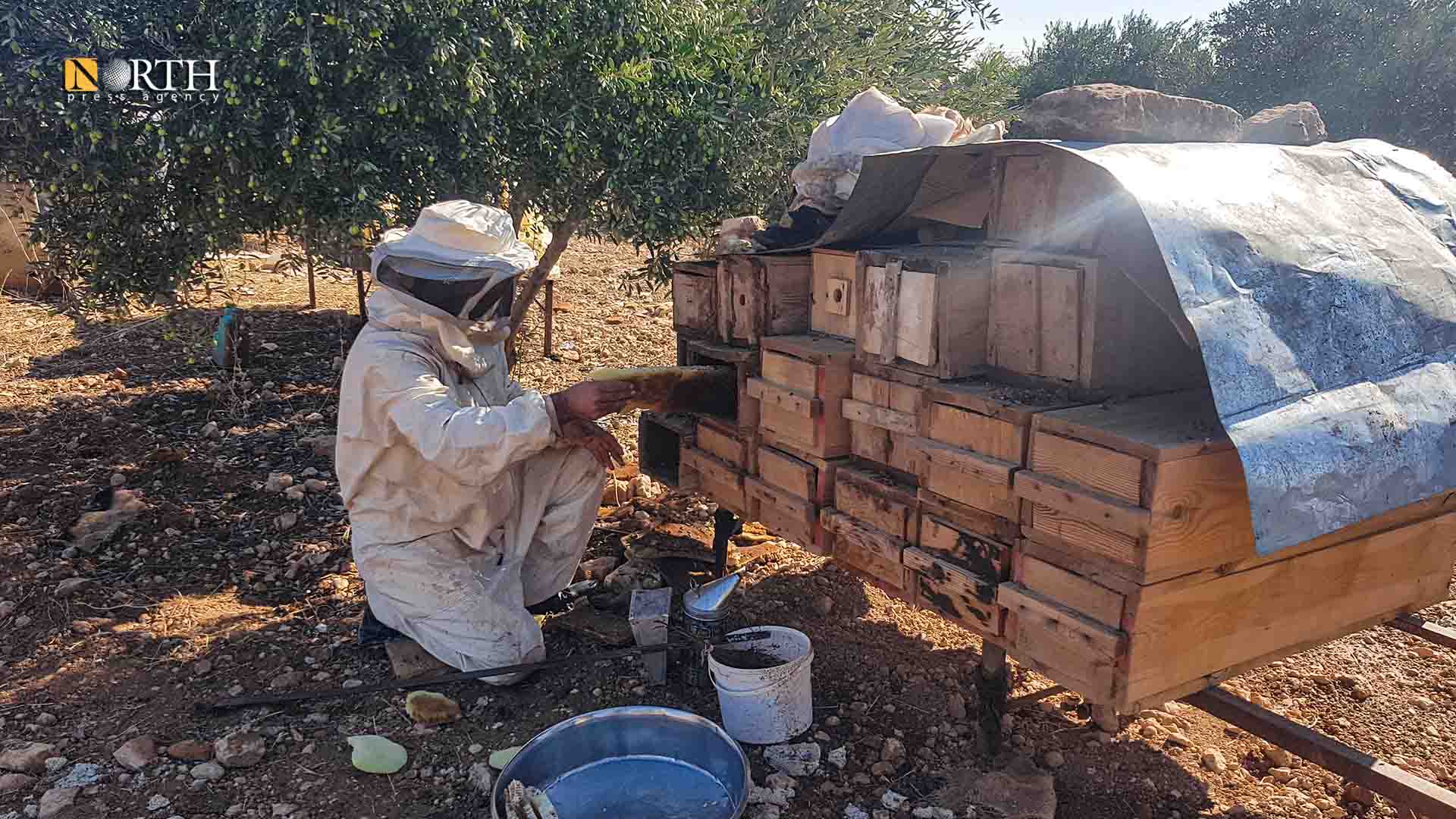 A beekeeper in the village of Boban in the countryside of Kobani checking his beehives. North Press.