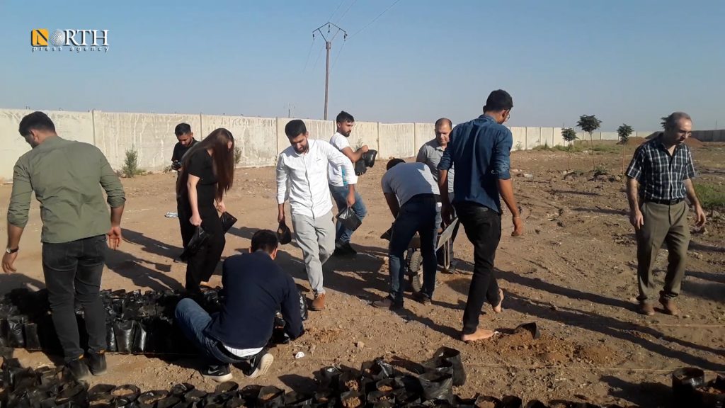 Green Strands campaign plants saplings in Afrin nursery, Qamishli - North Press