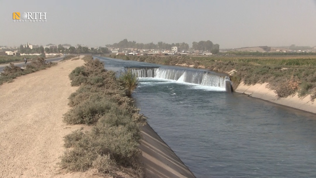 An irrigation canal in the western countryside of Raqqa – North Press
