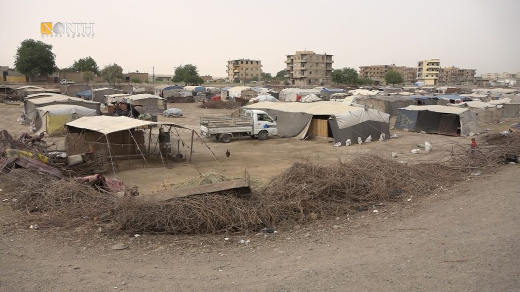 Displaced children in Yunani camp in Syria’s Raqqa celebrate Eid al ...