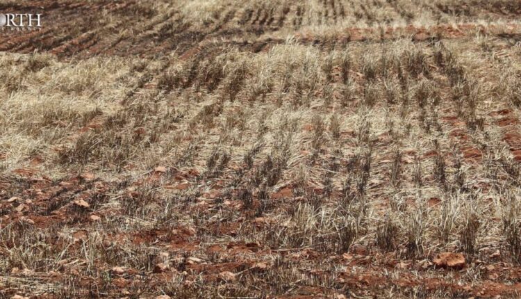 Agricultural land burned due to Turkish shelling of Hasajek village in Aleppo northern countryside – North Press