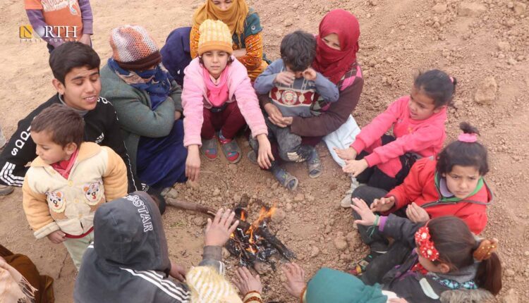 IDPs from Hasakah northern countryside when arriving in Sere Kaniye Camp – North Press