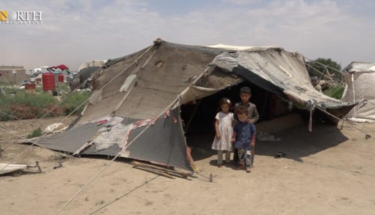 Children of a displaced family in front of their tent in a camp south of Raqqa – North Press
