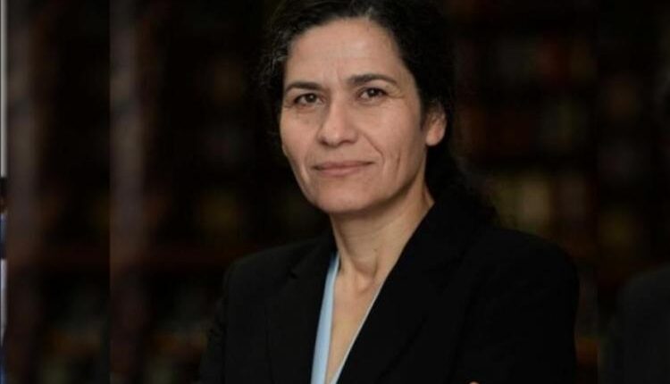 President of the Executive Committee of the Syrian Democratic Council Ilham Ahmed