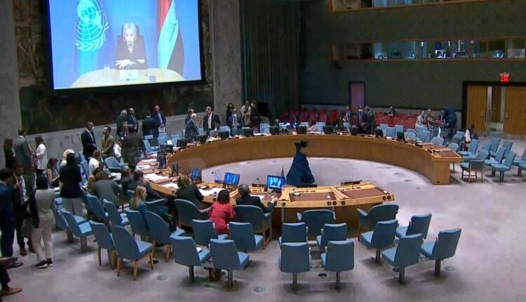 UN Security Council during a session on Turkish attack on Duhok