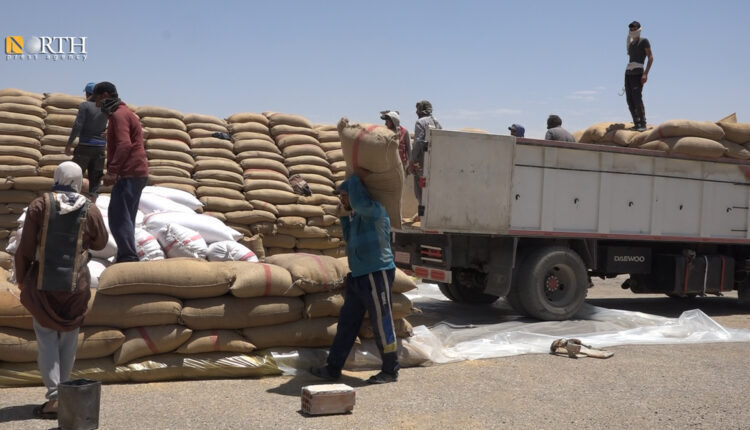Workers transfer wheat to a silo in Raqqa - North Press