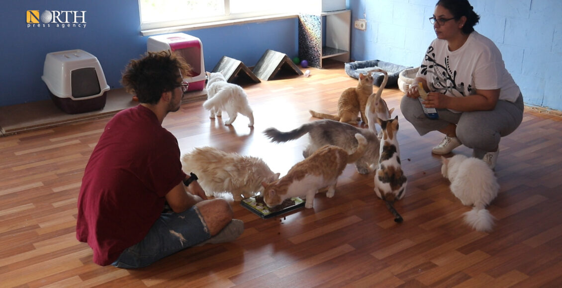 Amal Amro and her husband with cats at their center in Erbil – North Press