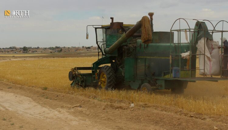 Harvester in a wheat field in Hasakah countryside – North Press