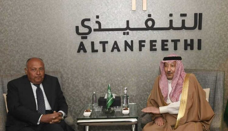 The ministers of Foreign Affairs of Egypt and Saudi Arabia
