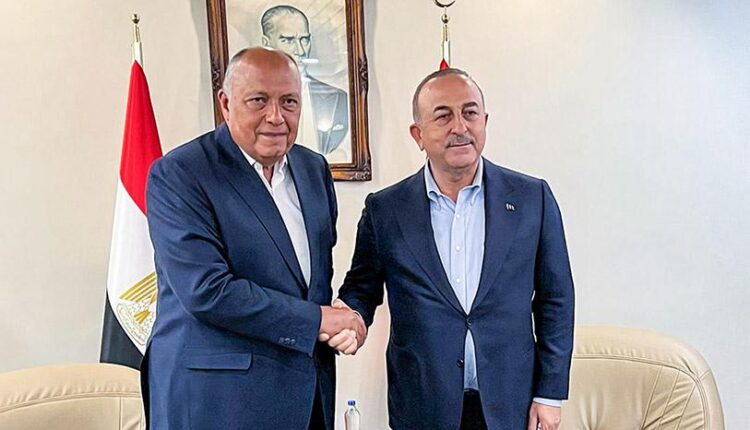 Egypt's Foreign Minister Sameh Shoukri and his Turkish counterpart Mevlut Cavusoglu in Adana, 27 February 2023 – Egypt's Ministry of Foreign Affairs