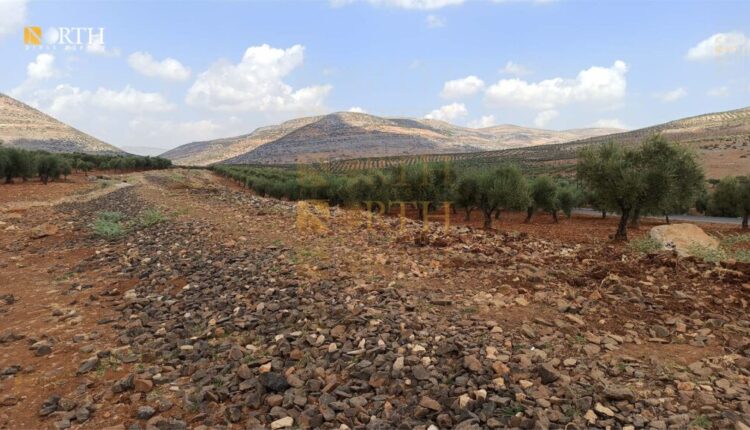 Dismantled railroad near the town of Rajo in Afrin, northwest Syria
