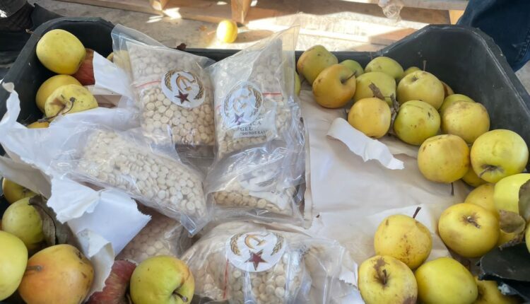 The operation of smuggling captagon pills hidden in apple crates in a refrigerator truck coming from Syria to Iraq