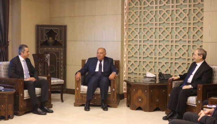 Syrian FM Faisal Mekdad and his Egyptian counterpart