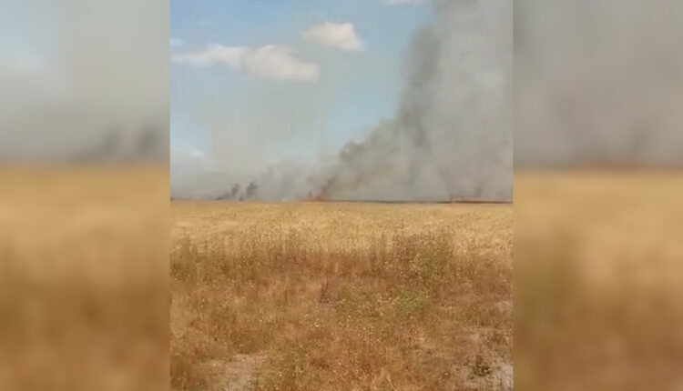 Fire breaking out in wheat crops due to Syrian government shelling