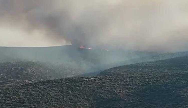 Fires break out in a forest in Hawar Mountain northwest of Afrin, northwestern Syria