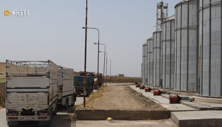 Receiving wheat harvest at Shninah silos in Raqqa, northern Syria – North Press