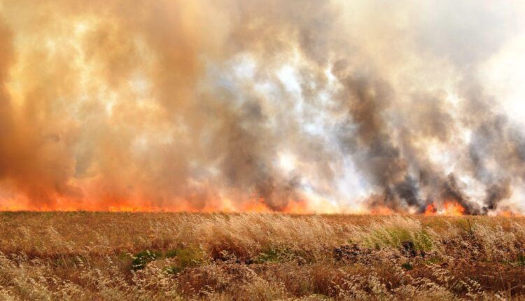Fire breaking out in lands in the countryside of Hasakah, northeast Syria
