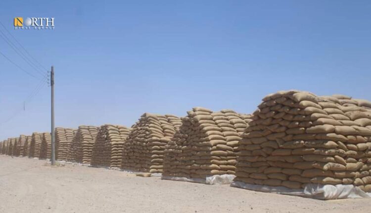 Piled up wheat bags in 7 Kilo Silos in Deir ez-Zor Governorate, east Syria – North Press