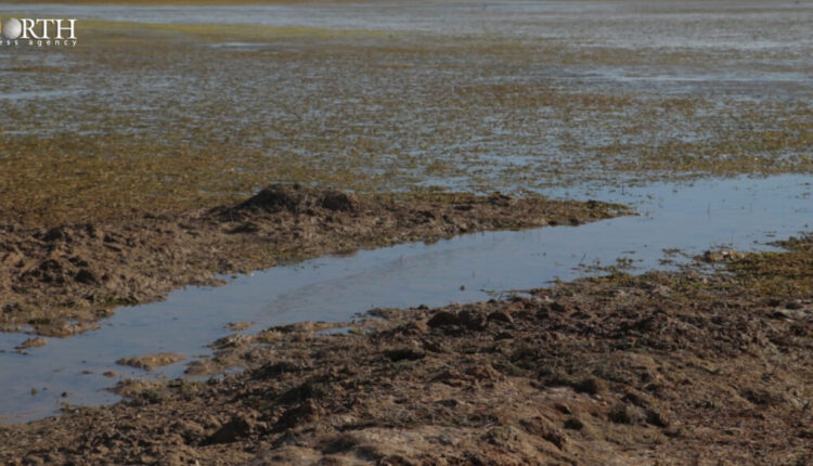 Significant Decrees of the water level of the Euphrates River in the west of Raqqa, northern Syria –North Press