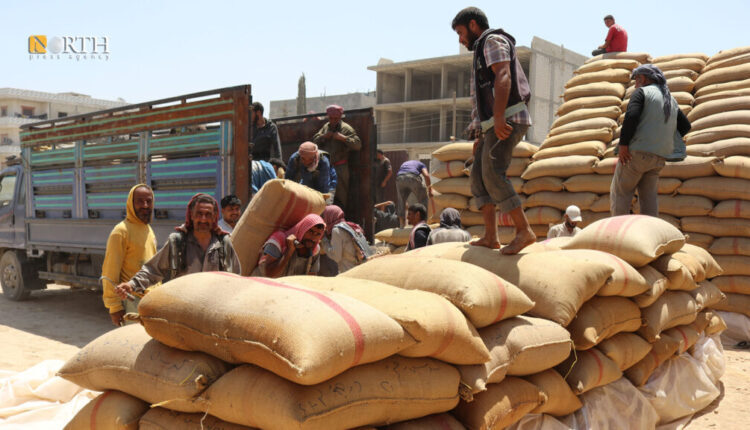 Receiving wheat in the city of Manbij, northern Syria - North Press