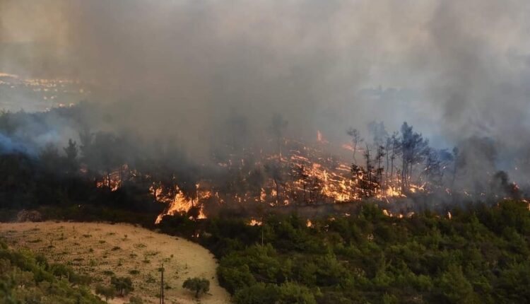 Fires in woodlands in Latakia Governorate, western Syria
