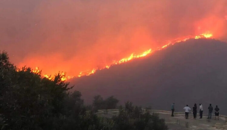 Wildfires in the countryside f Latakia Governorate, on Syria’s coast