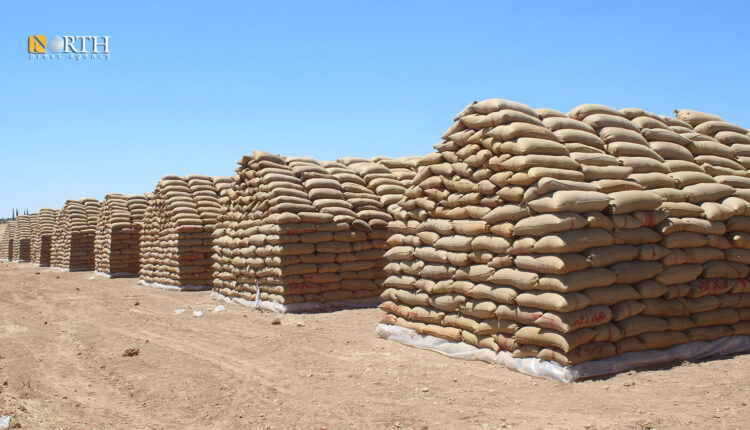 Wheat bags accumulating in Rofi silos south of Kobani, northern Syria – North Press
