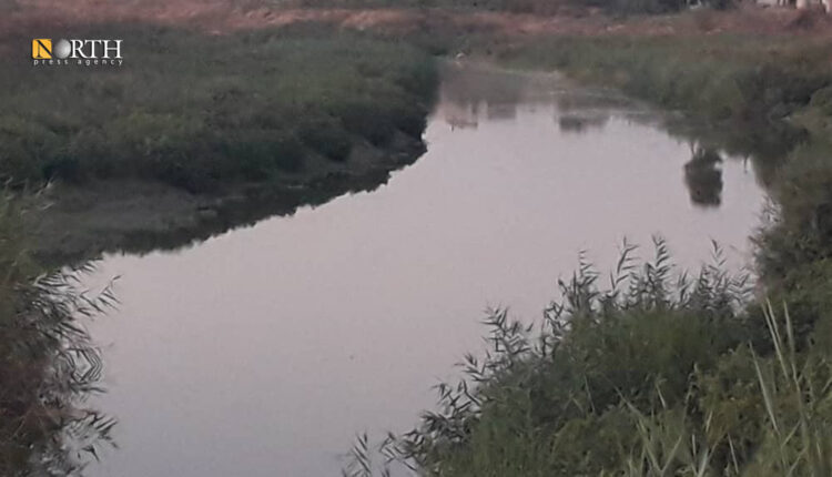 The Khabur River in the town of Tel Tamr in Hasakah Governorate, northeastern Syria – North Press