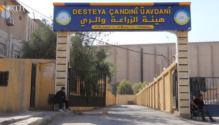 The Agriculture and Irrigation Board of the AANES in the city of Qamishli, northeastern Syria – North Press