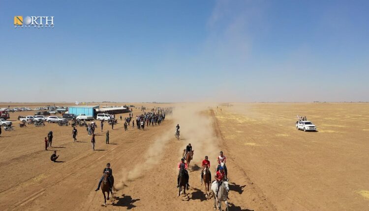 The First Purebred Arabian Horses Festival held by the AANES in the city of Qamishli in northeast Syria on Sep. 15, 2023 – North Press