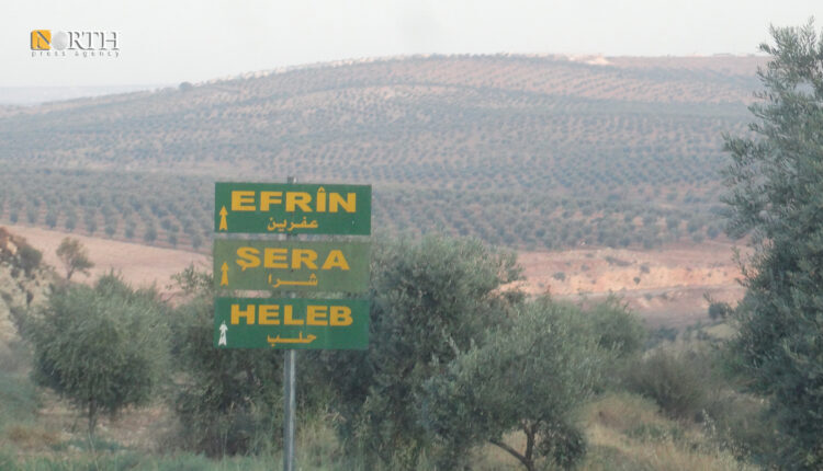 Rural areas in the Afrin region, in northern Aleppo Governorate, northwestern Syria.