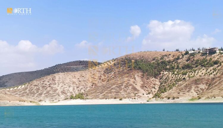 Bushes near Maydanki Lake in Afrin countryside, northwestern Syria, that have been subjected to an indiscriminate logging – North Press