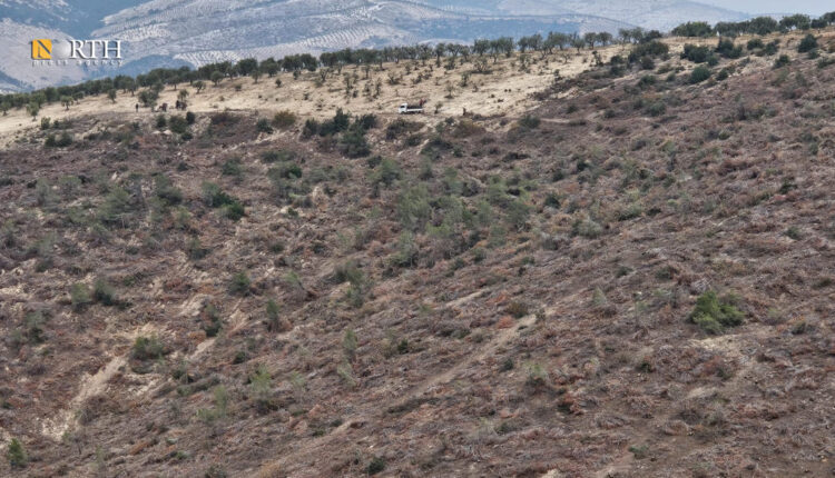 Trees cut down in the village of Kafr Safra in the countryside of Afrin, northwestern Syria - North Press