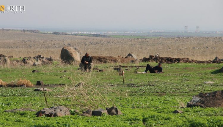 Farmers in their lands in Derik countryside in the far NE Syria on the border with Turkey – North Press