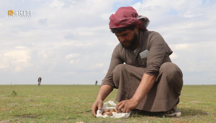 ISIS kills 9 truffle hunters in Syria’s Raqqa