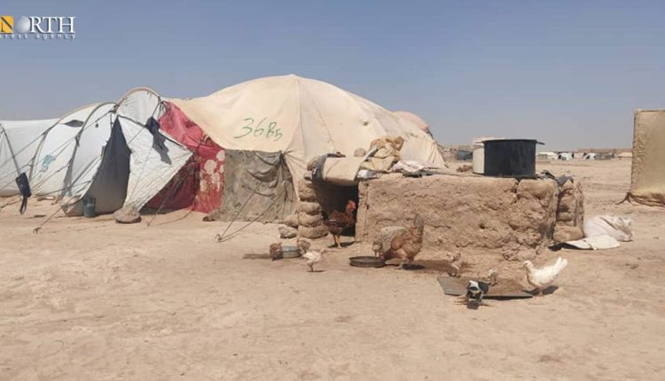 A makeshift camp in the countryside of Deir ez-Zor, eastern Syria – North Press