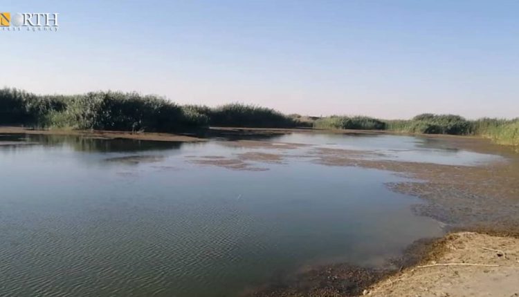 Contamination of the Euphrates River in Deir ez-Zor Governorate in eastern Syria due to crude oil smuggling, Aug. 19, 2024 – North Press