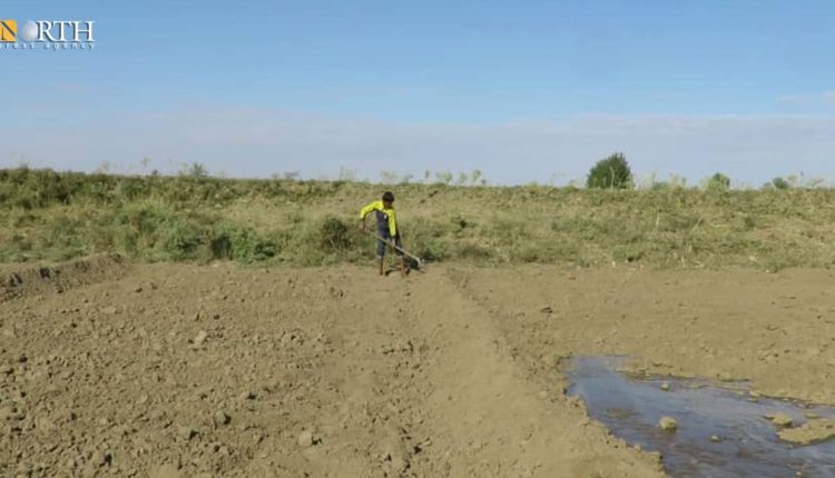 A worker farming agriculture land in the countryside of Deir ez-Zor, eastern Syria – North Press