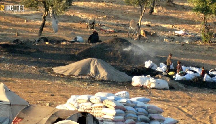 Factions of the Turkish-backed SNA in Afrin region, Northwest Syria, have started charcoal workshops, Oct. 25, 2024 – North Press