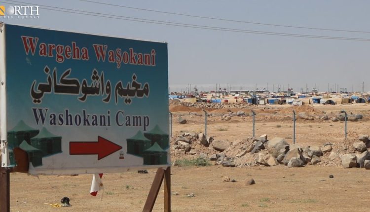 Washokani camp for the IDPs of Sere Kaniye (Ras al-Ain) in Hasakah Governorate, Northeast Syria – North Press