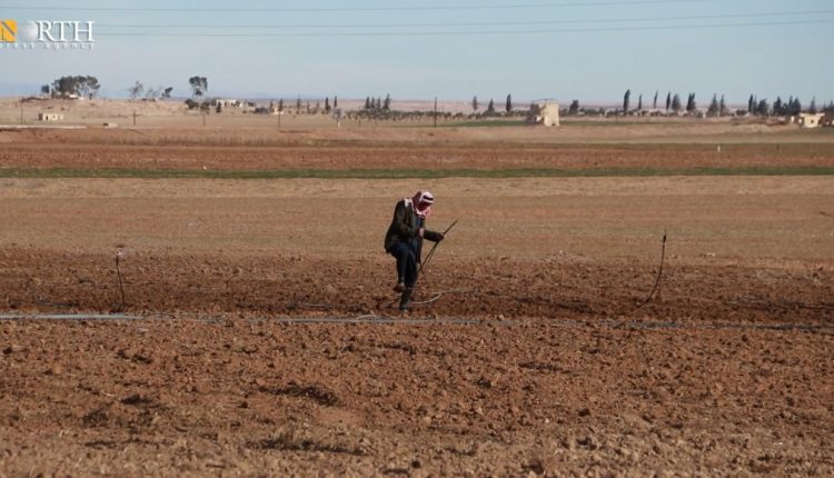 A farmer works in his land in the countryside of Hasakah, northeastern Syria, amid delay in growing crops due to the lack of rain and support – North Press