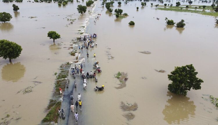 لافاوەکانی نێجیریا