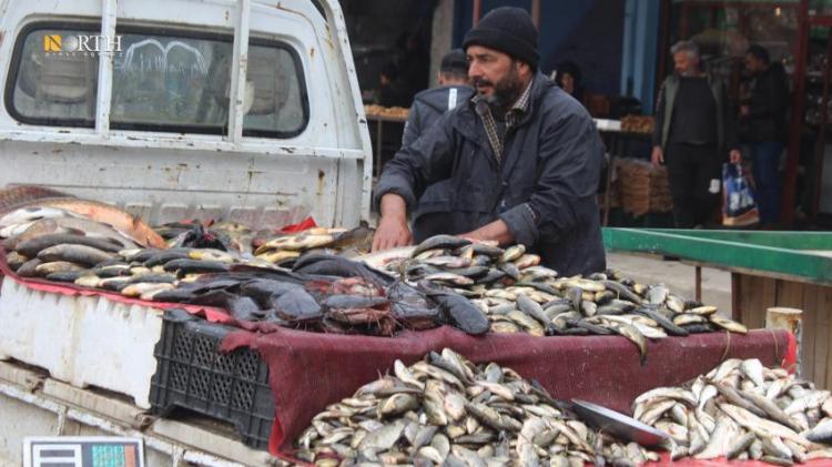 بسبب غلاء لحوم المواشي.. سكان في منبج يقبلون على شراء الأسماك - North press  agency | وكالة نورث برس