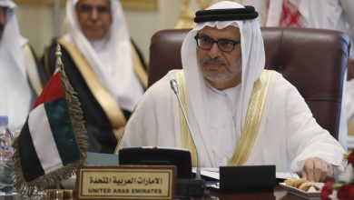 وزير دولة الإمارات للشؤون الخارجية أنور قرقاش