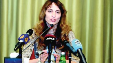 الخبيرة في الأمم المتحدة ألينا دوهان