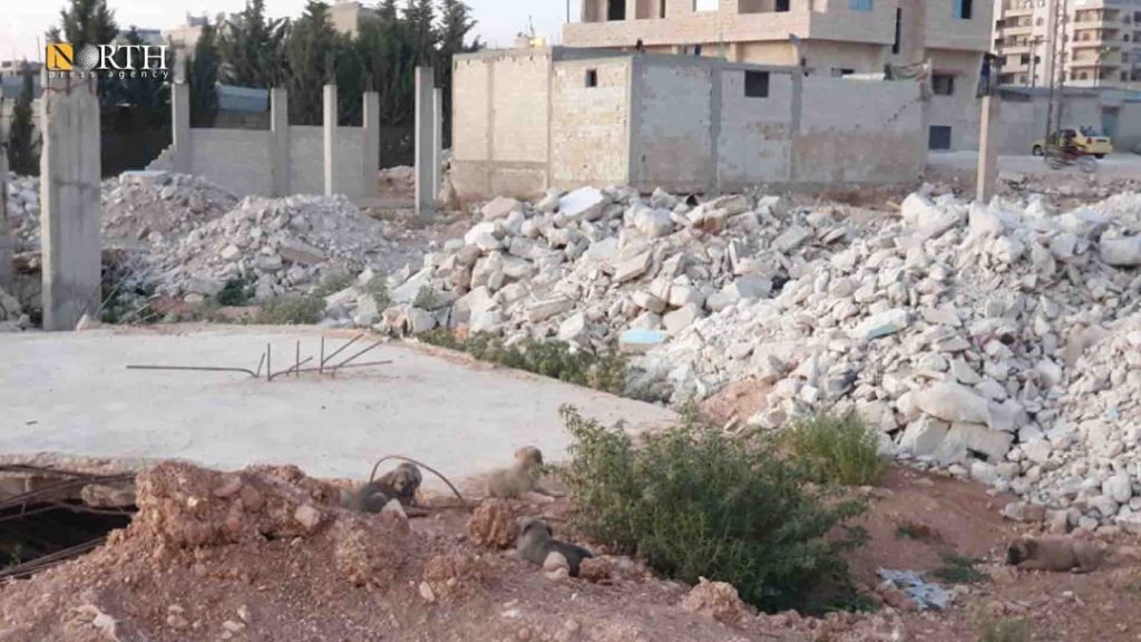بناء مهدم في حي النقارنة في حماة- نورث برس
