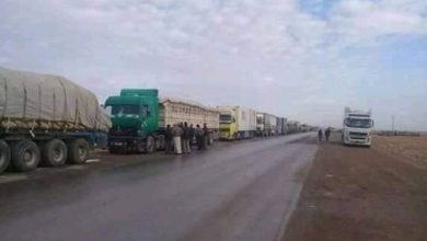 طوابير من شاحنات محملة بالقمح - متداول